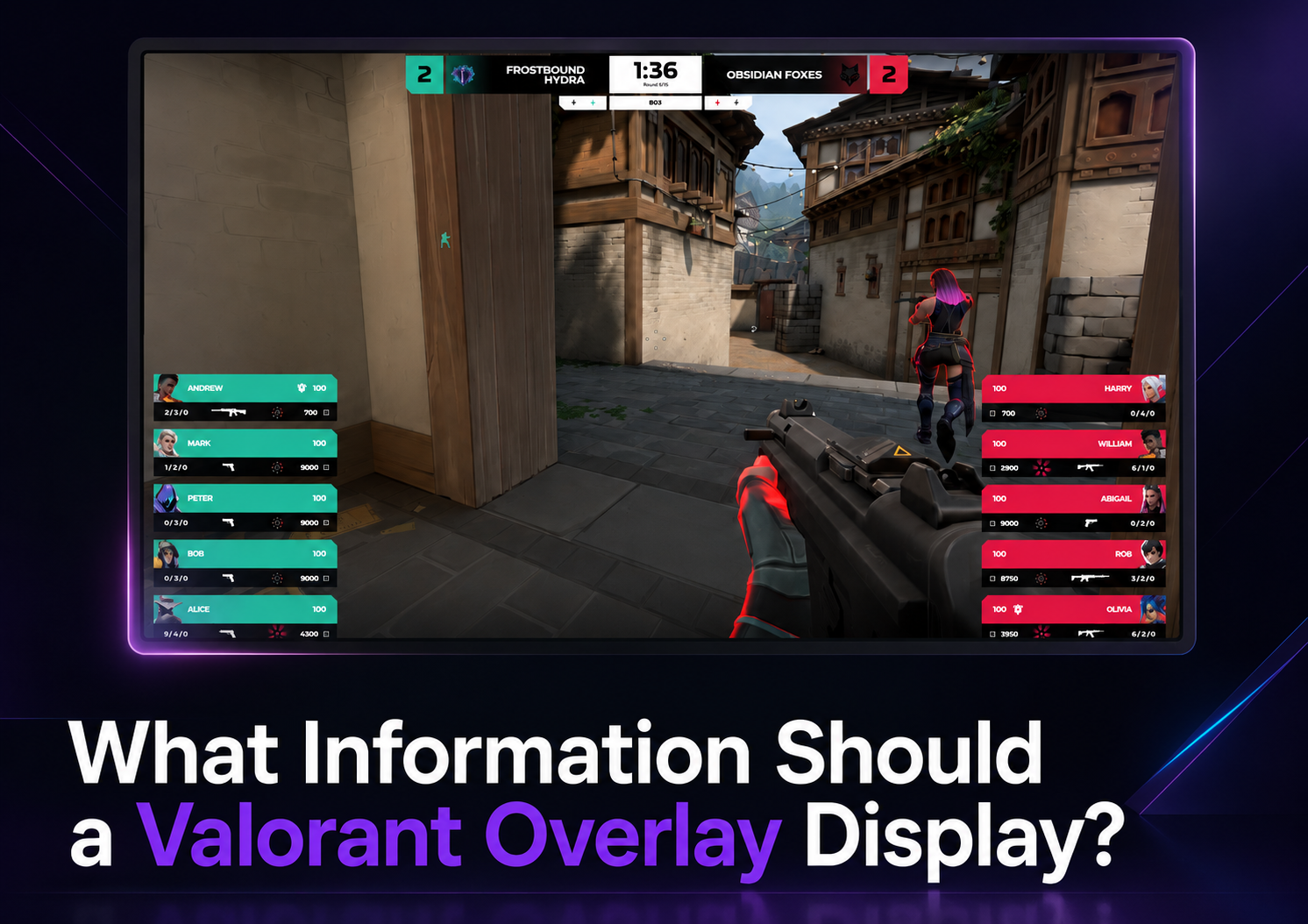 What Information Should a Valorant Overlay Display? - LHM.gg